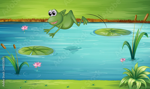 A frog jumping