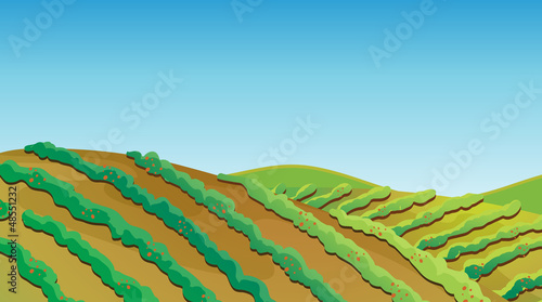 Fertile land