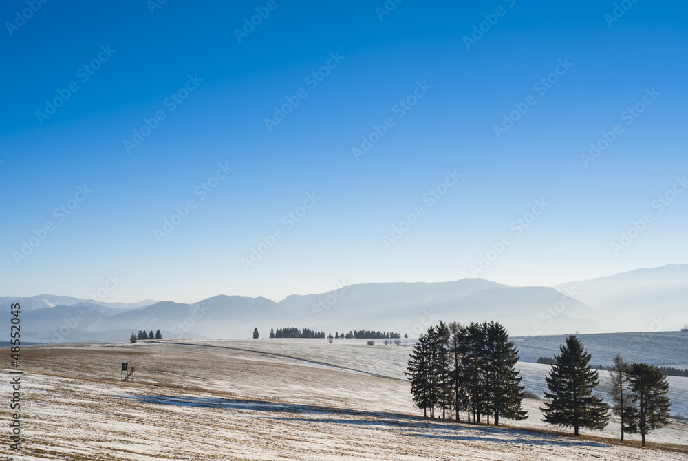 winter fields