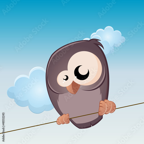 vogel auf draht