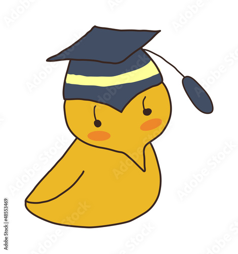 A view of bird