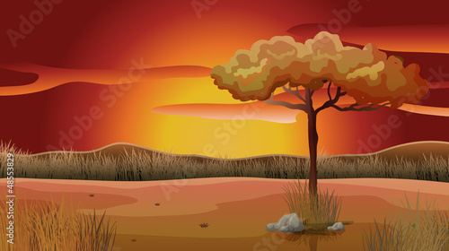 Sunset view