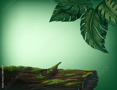 A trunk covered with algae