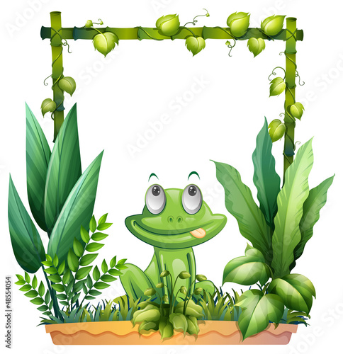 A frog thinking