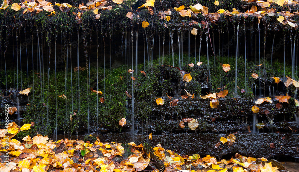 Obraz premium Falling water between autumn leaves