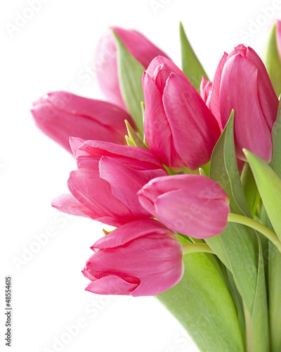 Fototapeta Naklejka Na Ścianę i Meble -  Tulip flowers