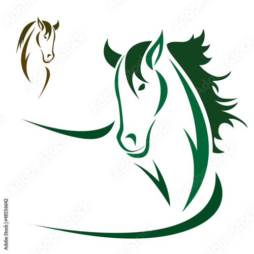 Vector head of horse on a white background. Animal.