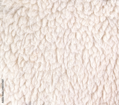 white woolly sheep fleece for background texture photo