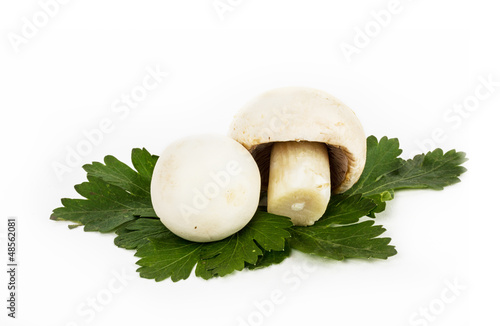 White mushrooms on white background