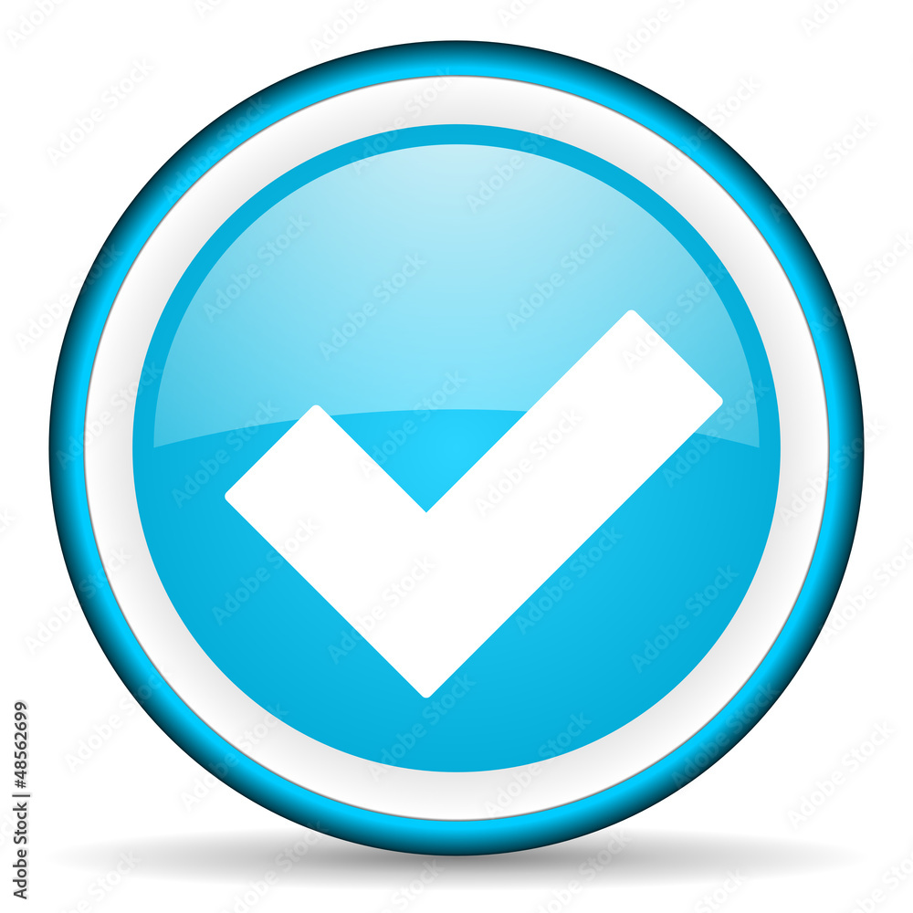 accept blue glossy icon on white background accept blue glossy icon on white background