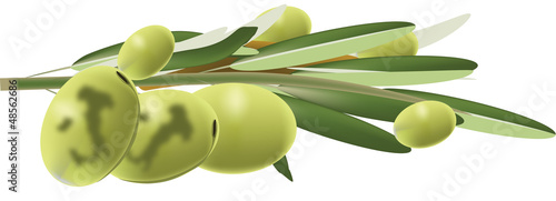 Olive italiane
