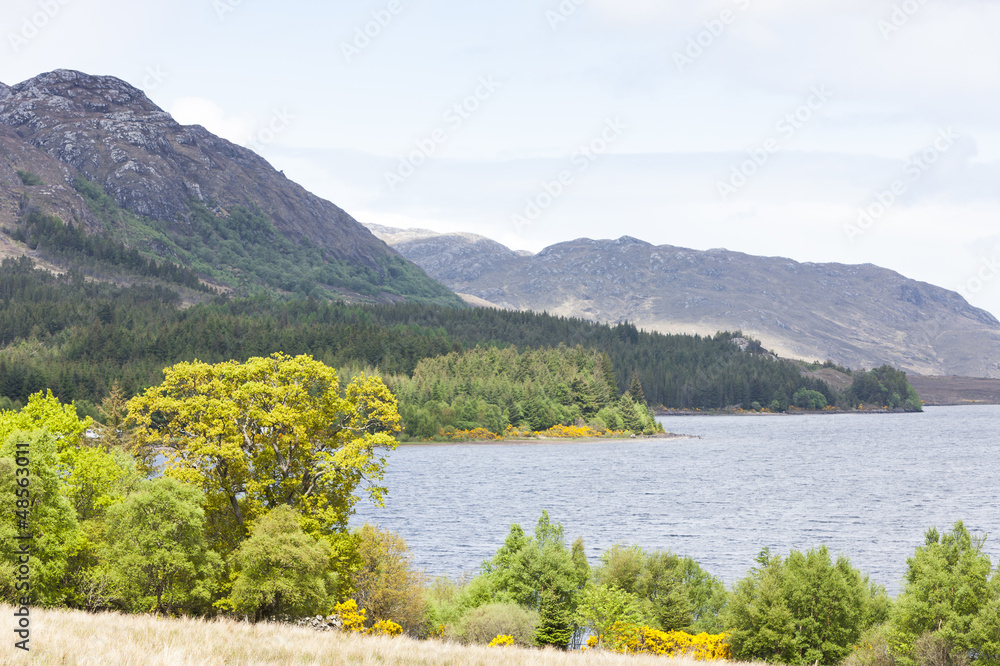 Fototapeta premium Loch Maree, Highlands, Scotland