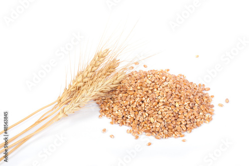 Wheat Berries with Ears