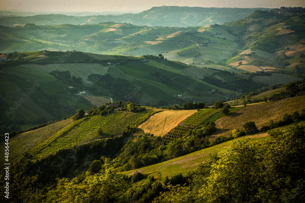 colline marchigiane