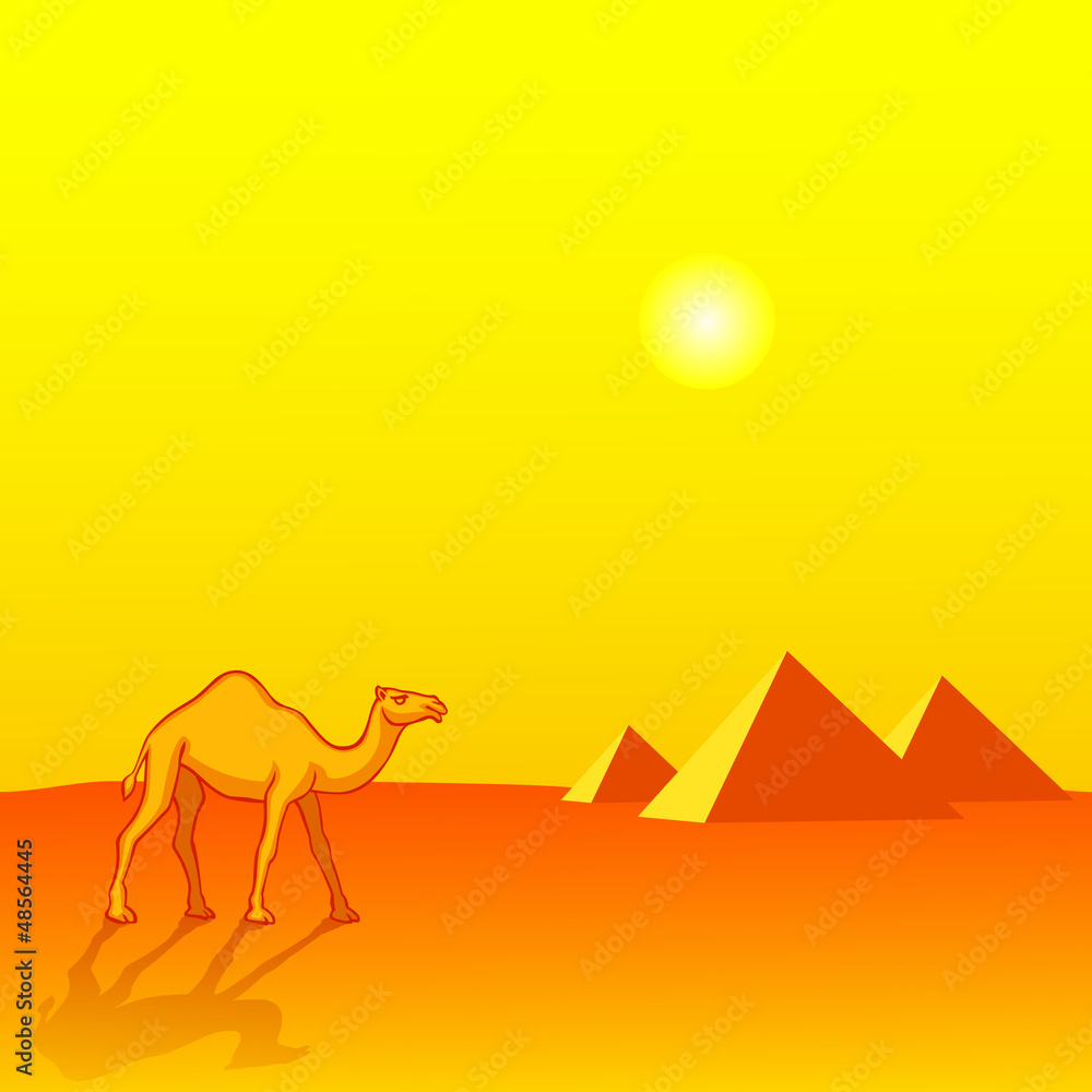Camel and Pyramids Camel and Pyramids