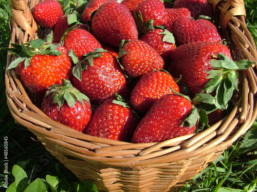 ripe strawberries in a basket