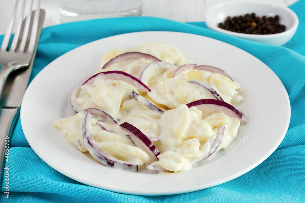 potato salad with onion on the plate potato salad with onion on the plate