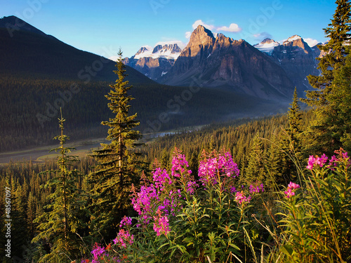 Obraz na płótnie Landscape with Rocky Mountains at sunset, Alberta, Canada w salonie