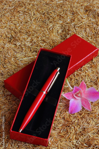 Pen laying on the ground rice