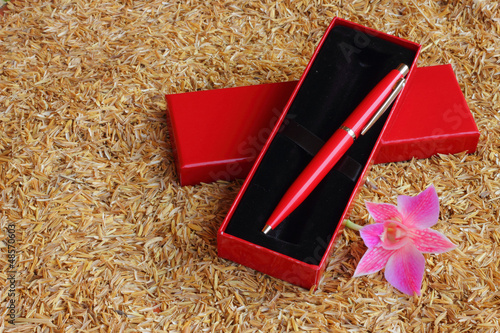Pen laying on the ground rice