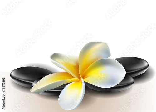 Spa concept zen stones with frangipani flowers