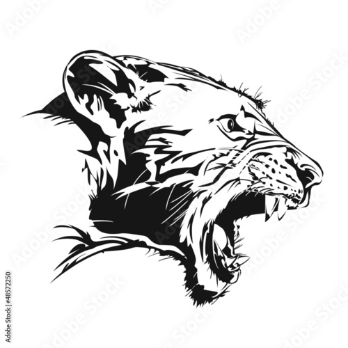 Tiger feral