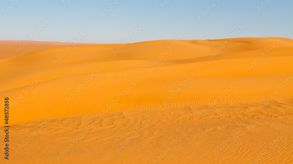 Sahara Desert Dune