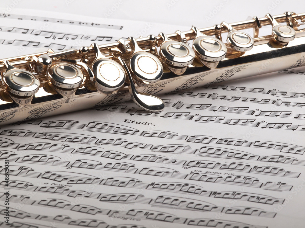 Obraz premium flute and notes