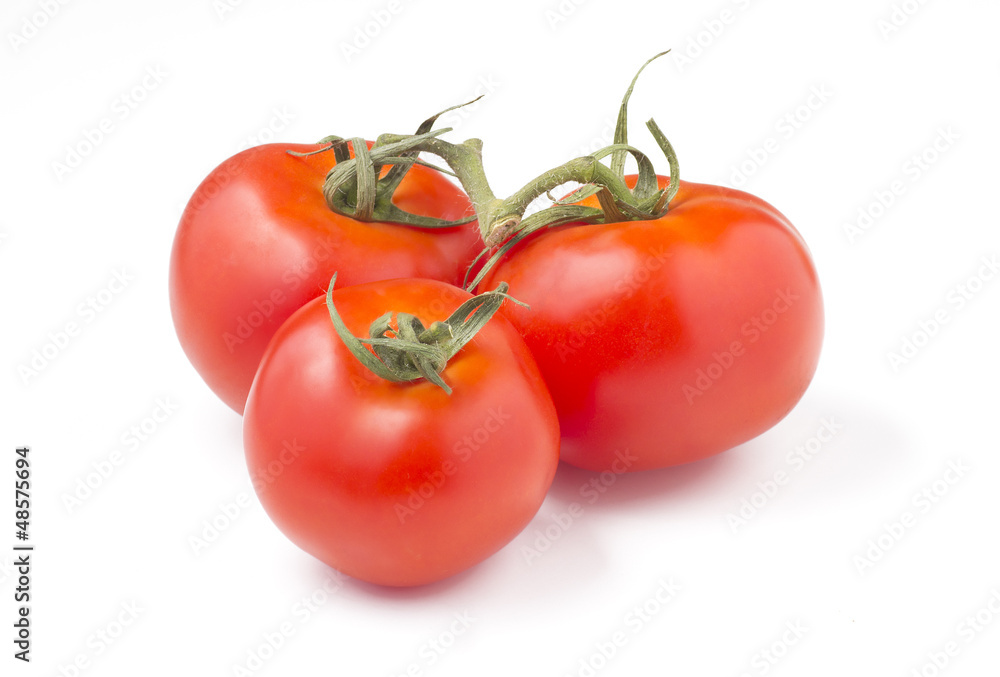 Tomato Tomato