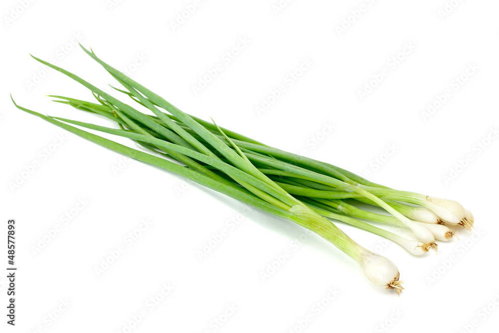 Fototapeta premium Green Onion - Natural food for health