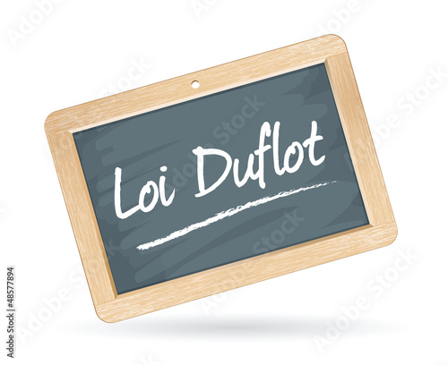 la loi duflot