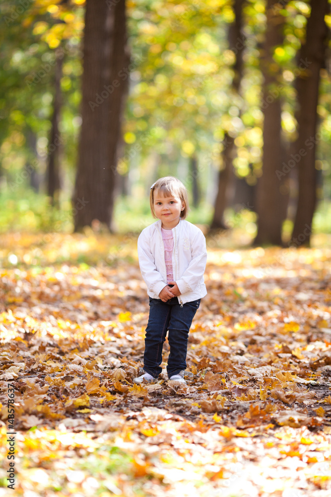 beautiful little girl throwing leaves in the forest beautiful little girl throwing leaves in the forest