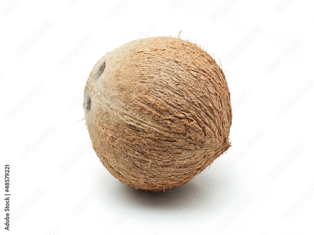 Coconut Coconut
