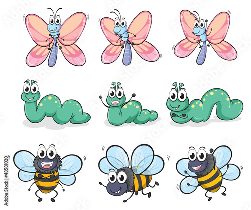 A caterpillar, a butterfly and a bee