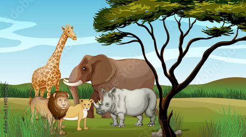 Scary animals in the jungle