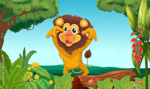 King lion in the woods