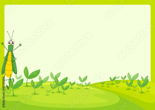A grasshopper