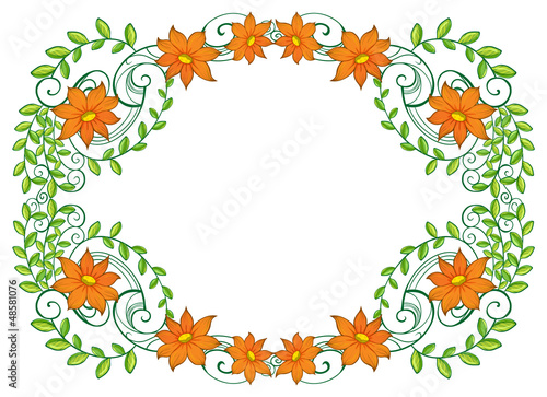 A vine plant with flower border