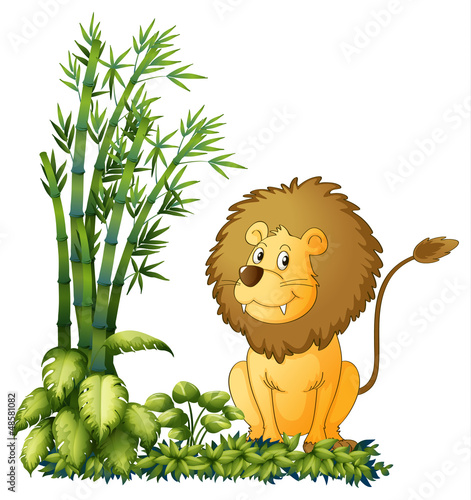 Fototapeta Naklejka Na Ścianę i Meble -  A lion showing his sharp jaw