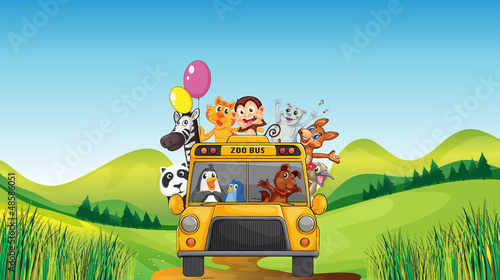 Various animals and zoo bus