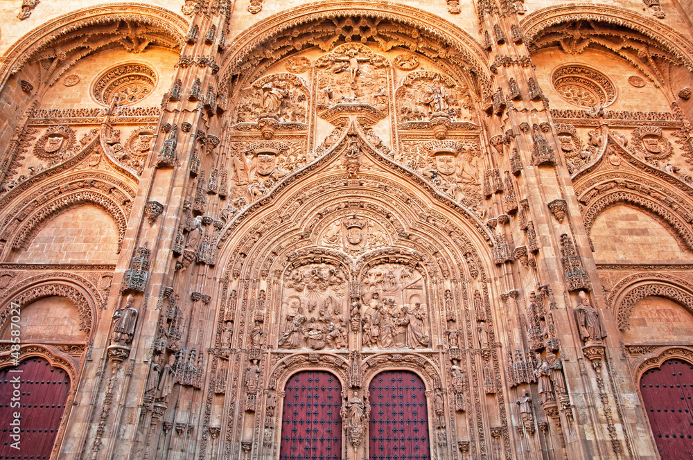 Obraz premium Cathedral of Salamanca in Spain