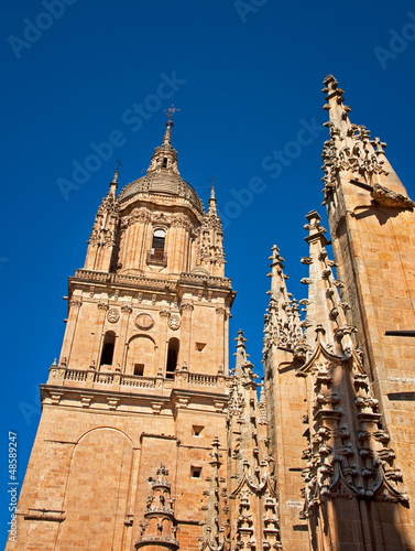 Cathedral of Salamanca in S...