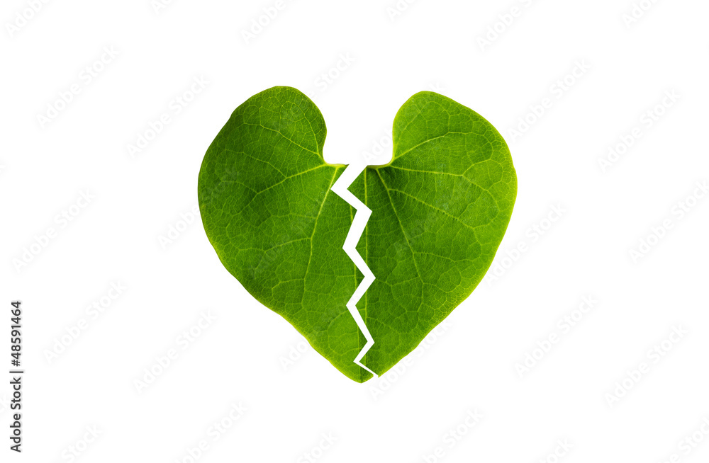Obraz premium Broken heart leaf