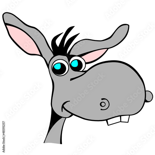 The donkey