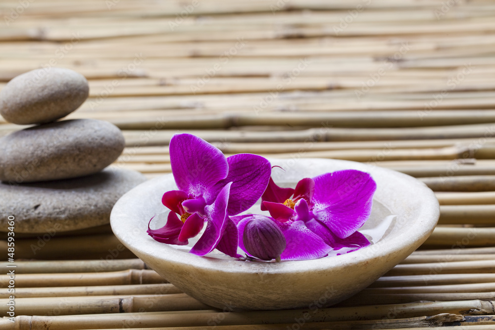 feng shui still life feng shui still life