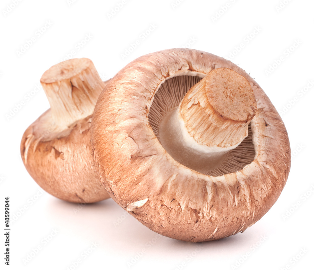 Brown champignon mushroom Brown champignon mushroom