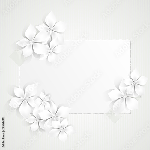 Floral Background with white flowers- Sfondo con fiori bianchi
