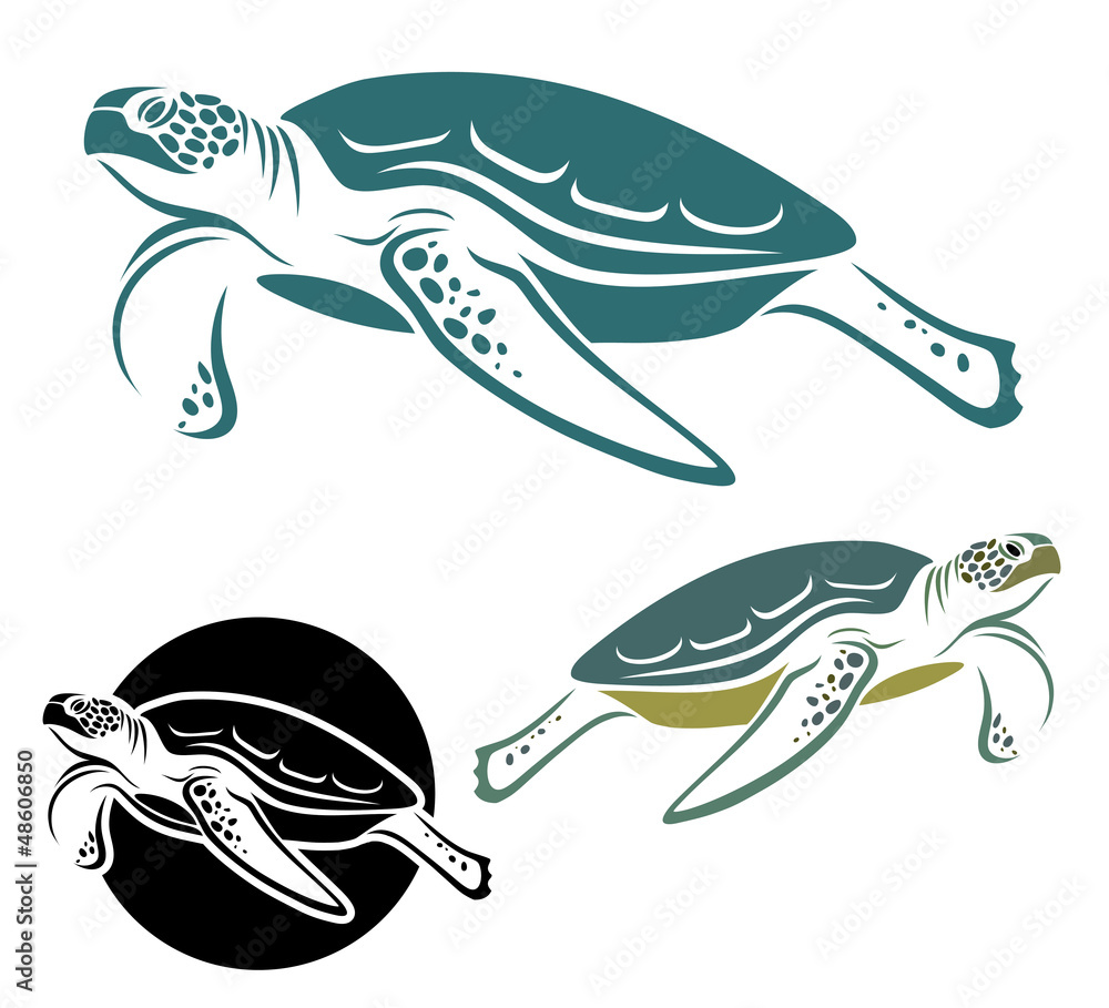 Fototapeta premium Sea turtle