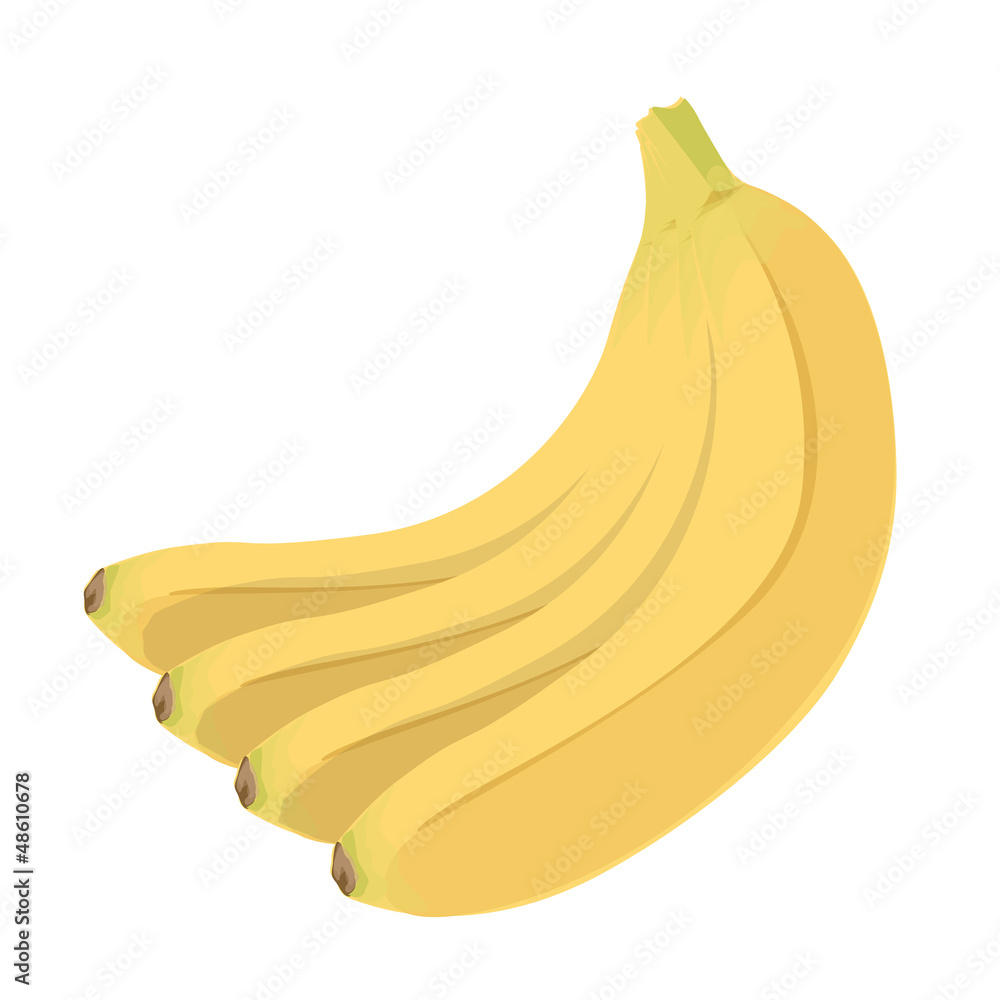 Bananas isolated on white. Vector design. 