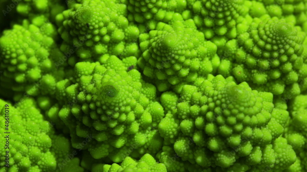 Romanesco broccoli cabbage marco. Romanesco broccoli cabbage marco.
